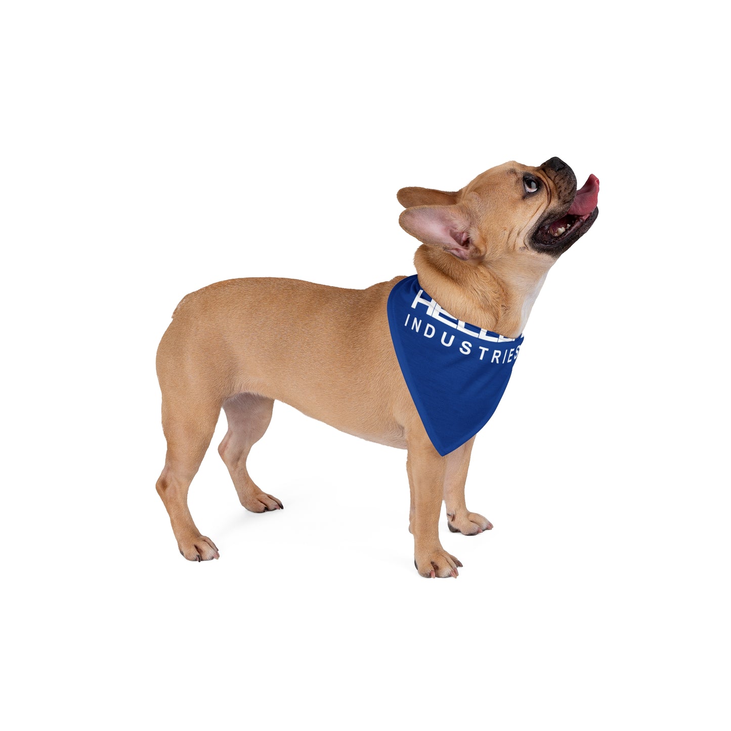 Pet Bandana