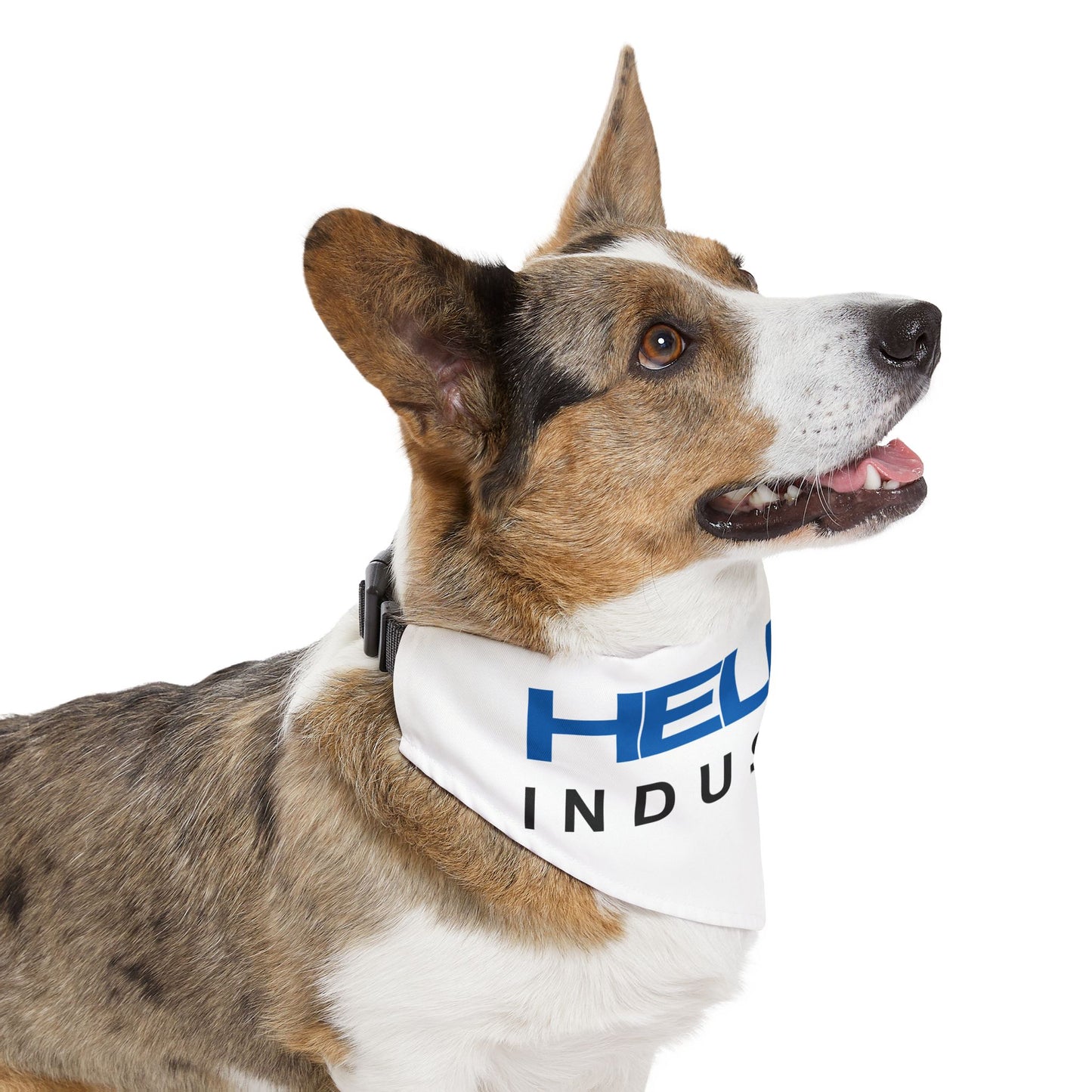 Pet Bandana Collar